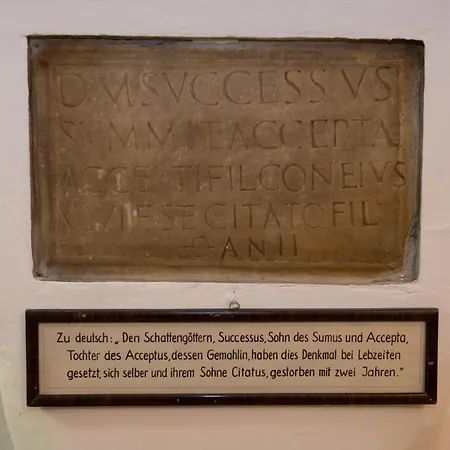 Blaue Traube Bad Aussee