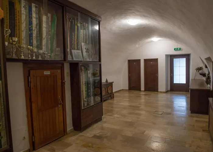 Blaue Traube Bad Aussee