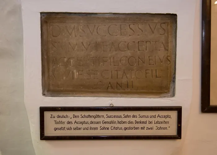 Blaue Traube Bad Aussee